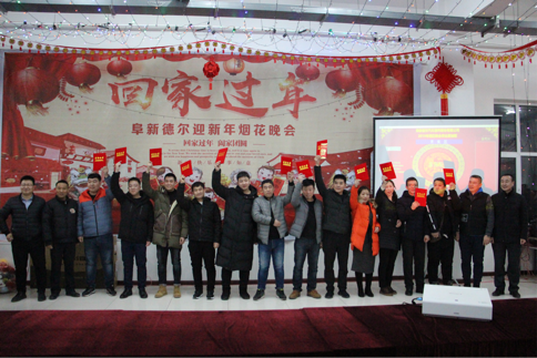 喜迎新春——暨阜新AG平台2019除夕烟花晚会(图4)